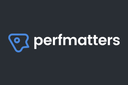 Plugin Perfmatters - Speed Up, optimization WordPress