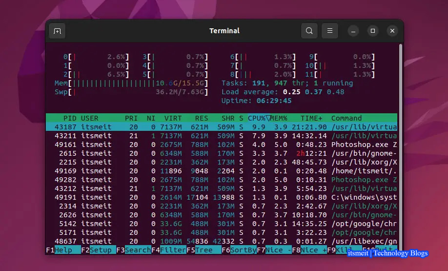 Example of using htop command in Linux
