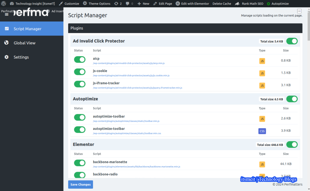 perfmatters script manager