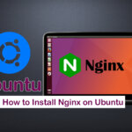 Install Nginx on Ubuntu