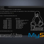 MySQL Command Line on Linux