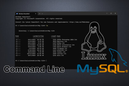 MySQL Command Line on Linux