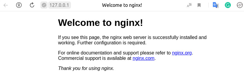 web nginx status