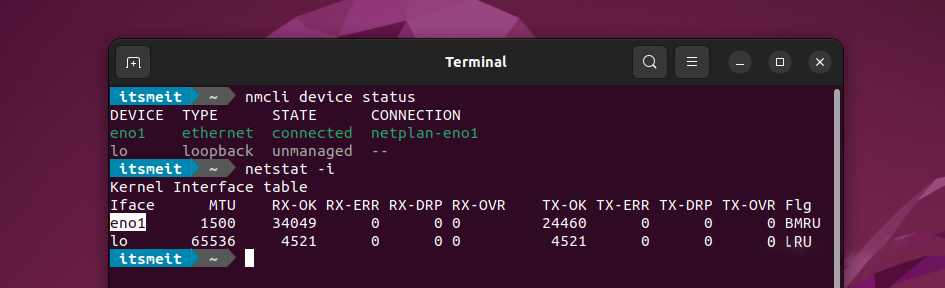 check dns status