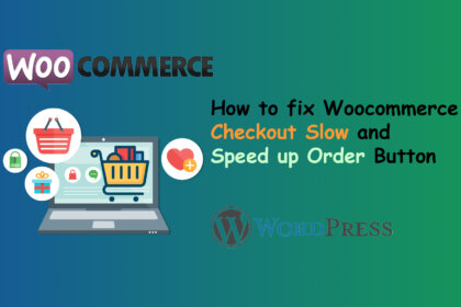 Fix Woocommerce Checkout Slow