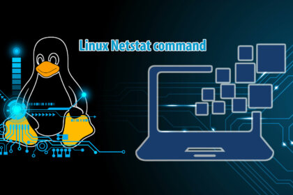 linux netstat command