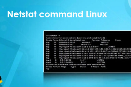 netstat command linux