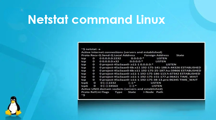 netstat command linux