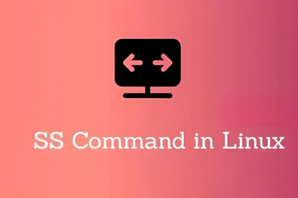 SS Command Linux