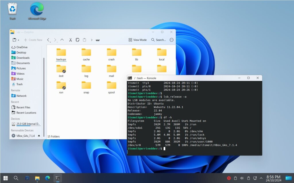 Wubuntu 11 KDE Cinnamon